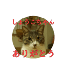 なまえ＋ありがとうスタンプ（個別スタンプ：12）