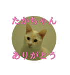 なまえ＋ありがとうスタンプ（個別スタンプ：13）