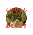 なまえ＋ありがとうスタンプ（個別スタンプ：14）