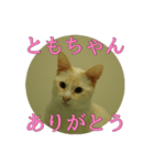 なまえ＋ありがとうスタンプ（個別スタンプ：15）