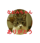 なまえ＋ありがとうスタンプ（個別スタンプ：16）
