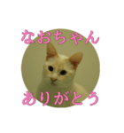 なまえ＋ありがとうスタンプ（個別スタンプ：17）
