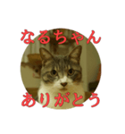 なまえ＋ありがとうスタンプ（個別スタンプ：18）