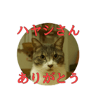 なまえ＋ありがとうスタンプ（個別スタンプ：19）