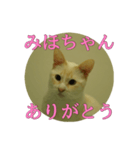 なまえ＋ありがとうスタンプ（個別スタンプ：22）