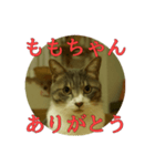 なまえ＋ありがとうスタンプ（個別スタンプ：23）
