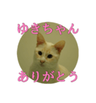 なまえ＋ありがとうスタンプ（個別スタンプ：24）