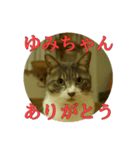 なまえ＋ありがとうスタンプ（個別スタンプ：27）