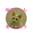 なまえ＋ありがとうスタンプ（個別スタンプ：28）