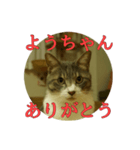 なまえ＋ありがとうスタンプ（個別スタンプ：29）