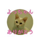 なまえ＋ありがとうスタンプ（個別スタンプ：30）