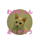 なまえ＋ありがとうスタンプ（個別スタンプ：32）