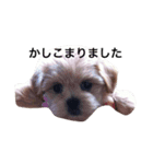 ちゅらスタ（個別スタンプ：4）