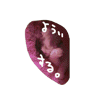 いい感じの猫スタンプ（個別スタンプ：16）
