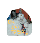 いい感じの猫スタンプ（個別スタンプ：32）