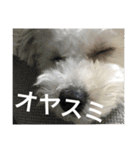 おこめ♡（個別スタンプ：1）