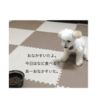 おこめ♡（個別スタンプ：7）