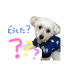 おこめ♡（個別スタンプ：8）