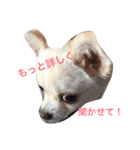 ゆずまるる（個別スタンプ：4）