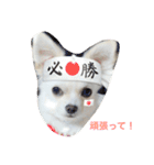 ゆずまるる（個別スタンプ：9）