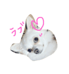 ゆずまるる（個別スタンプ：13）