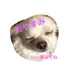 ゆずまるる（個別スタンプ：16）