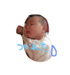 楓乃丸。（個別スタンプ：4）