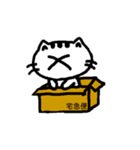 X.X CAT（個別スタンプ：4）