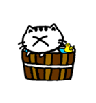 X.X CAT（個別スタンプ：6）