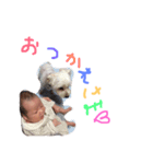 楓乃丸.（個別スタンプ：3）