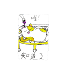 Little Baa Daily（個別スタンプ：9）