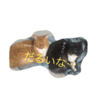 きなことじじとしゅけとろみの日常（個別スタンプ：2）