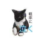きなことじじとしゅけとろみの日常（個別スタンプ：8）