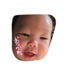 とらゆきはしぐち（個別スタンプ：6）