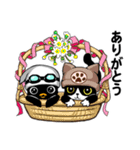 ぺぺぺのにゃー！（個別スタンプ：1）