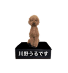 かわのうるくんです（個別スタンプ：1）