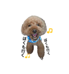 かわのうるくんです（個別スタンプ：3）
