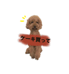 かわのうるくんです（個別スタンプ：5）