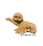 かわのうるくんです（個別スタンプ：7）