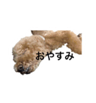かわのうるくんです（個別スタンプ：8）