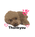 かわのうるくんです（個別スタンプ：10）