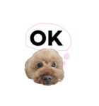 かわのうるくんです（個別スタンプ：12）
