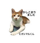 Cat's our from Max became happy（個別スタンプ：7）