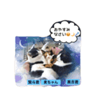 Cat's our from Max became happy（個別スタンプ：14）