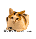 Cat's our from Max became happy（個別スタンプ：18）