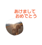 大吉さんスタンプ（個別スタンプ：4）