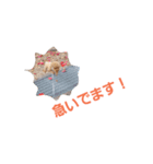大吉さんスタンプ（個別スタンプ：6）