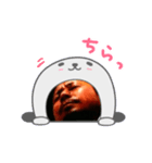 koichi（個別スタンプ：1）