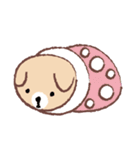 Cute puppy Mong Mong（個別スタンプ：11）