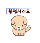 Cute puppy Mong Mong(KR)（個別スタンプ：1）